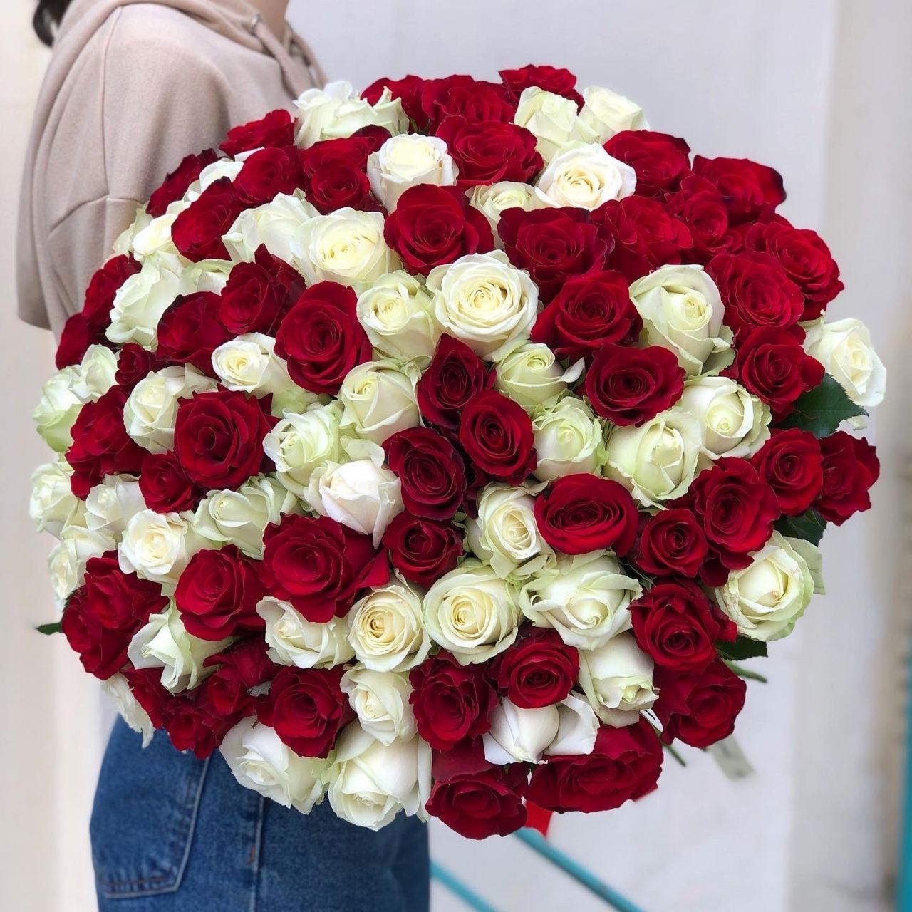 101 red and white roses